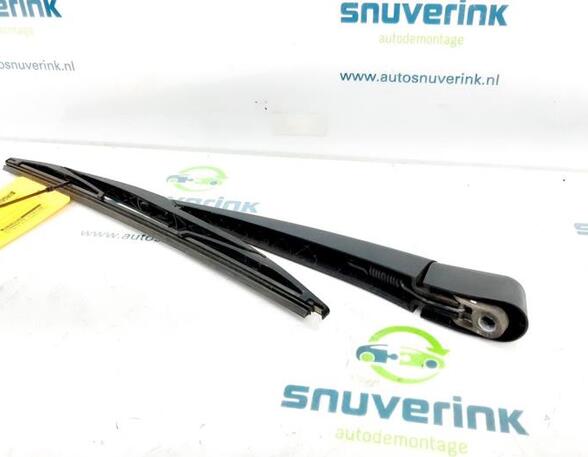 Wiper Arm RENAULT MEGANE III Hatchback (BZ0/1_, B3_)