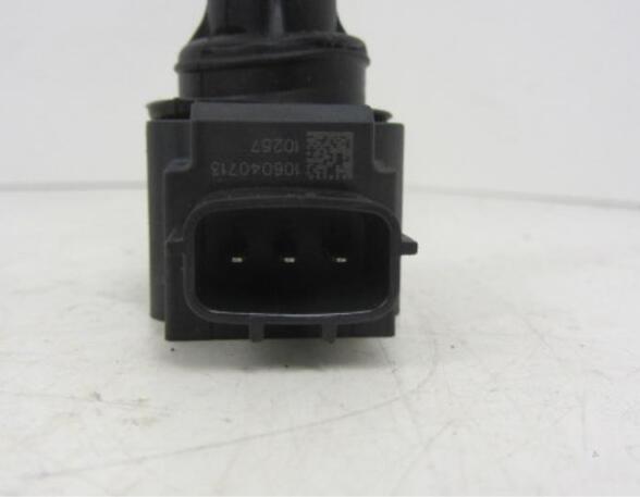 Ignition Coil RENAULT Captur I (H5, J5), RENAULT Clio IV (BH)