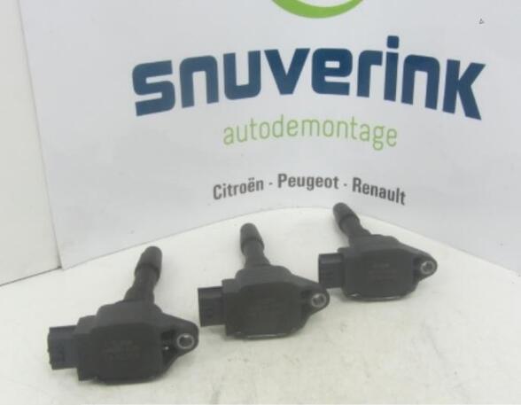 Ignition Coil RENAULT Captur I (H5, J5), RENAULT Clio IV (BH)