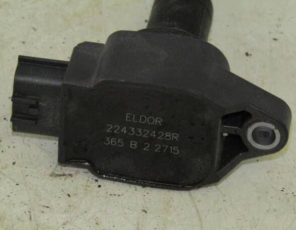 Ignition Coil RENAULT Twingo III (BCM)