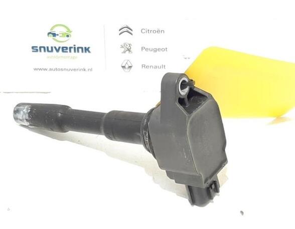 Ignition Coil RENAULT Captur I (H5, J5), RENAULT Clio IV (BH)