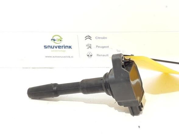 Ignition Coil RENAULT Captur I (H5, J5), RENAULT Clio IV (BH)