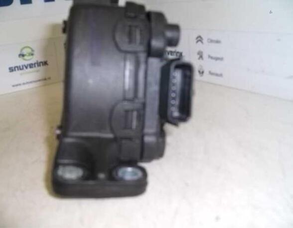 Accelerator pedal RENAULT Twingo II (CN0)