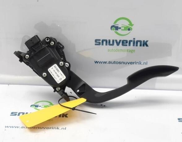 Accelerator pedal RENAULT Twingo II (CN0)