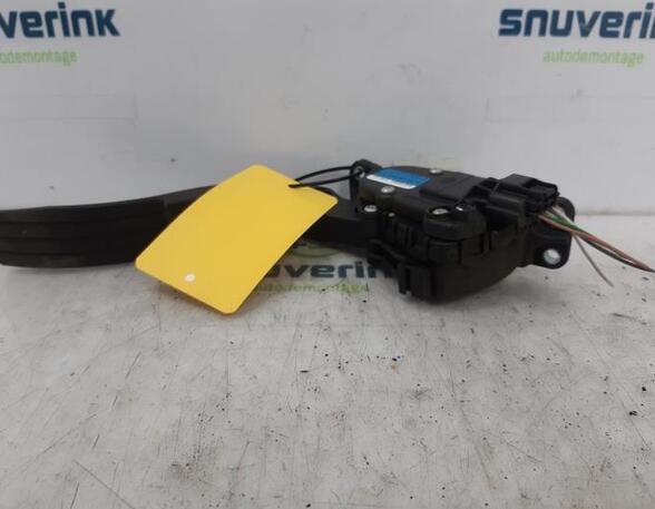 Accelerator pedal RENAULT Twingo II (CN0)