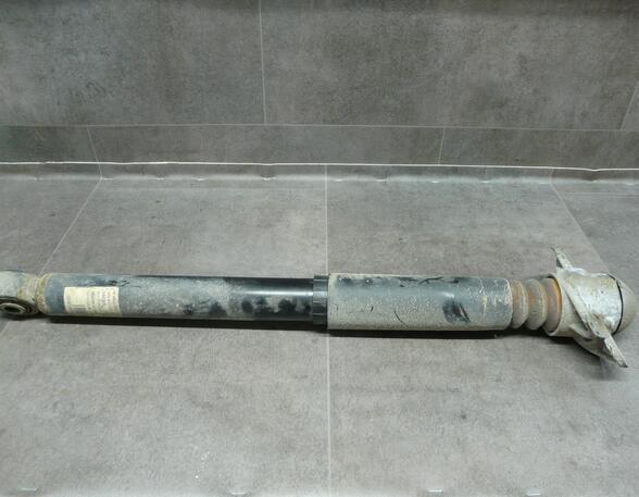 Shock Absorber SEAT LEON (1P1)