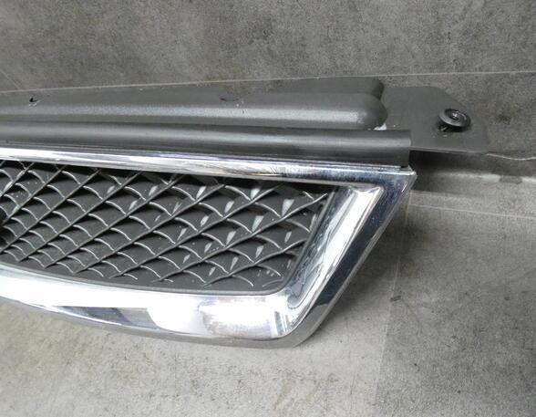 Radiateurgrille FORD Focus II (DA, DP, HCP)