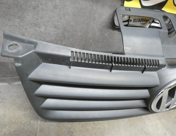 Radiator Grille VW Polo (9N)