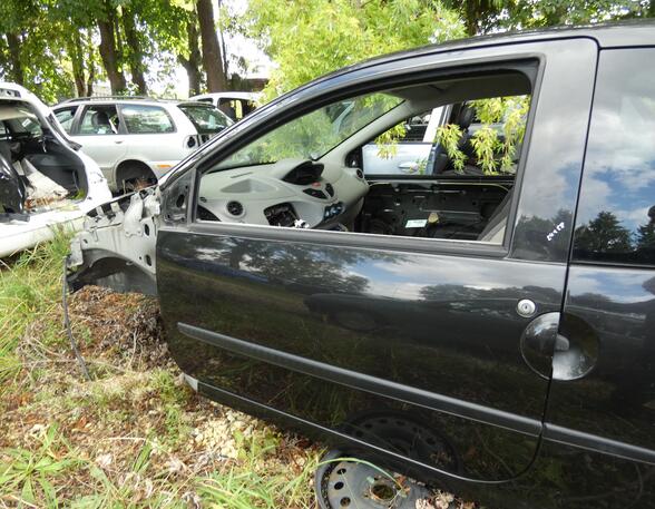 Door RENAULT TWINGO II (CN0_)