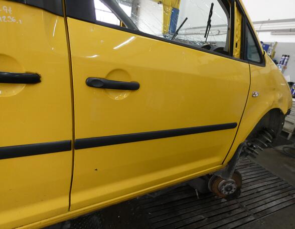 Door VW CADDY III Box Body/MPV (2KA, 2KH, 2CA, 2CH)