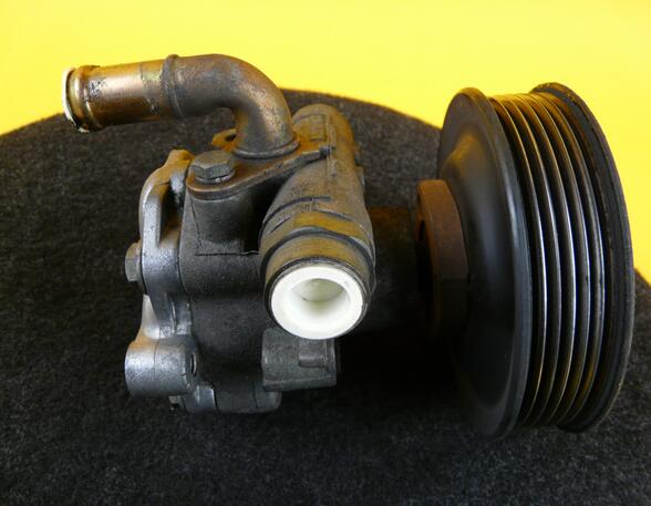 Power steering pump VW GOLF IV (1J1)