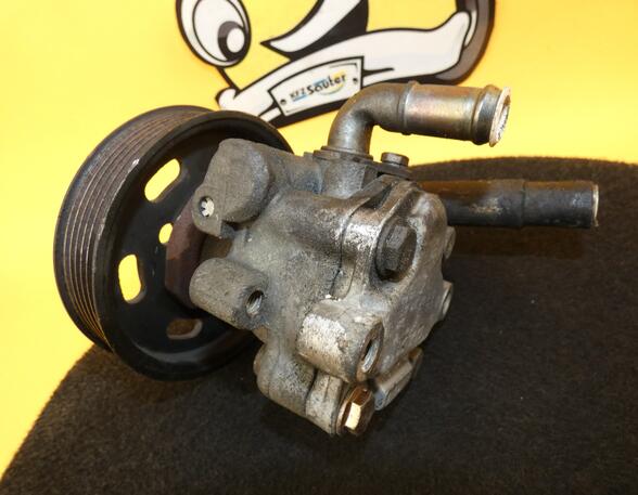 Power steering pump VW Golf IV (1J1)