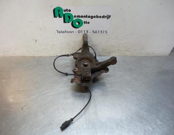 Stub Axle FIAT GRANDE PUNTO (199_), FIAT PUNTO EVO (199_), FIAT PUNTO (199_)