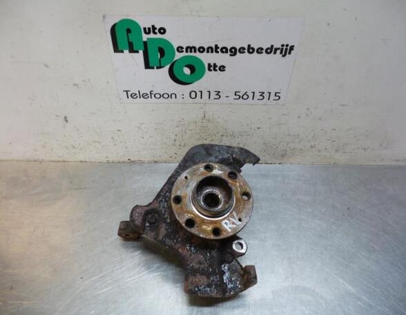 Stub Axle FIAT GRANDE PUNTO (199_), FIAT PUNTO EVO (199_), FIAT PUNTO (199_)