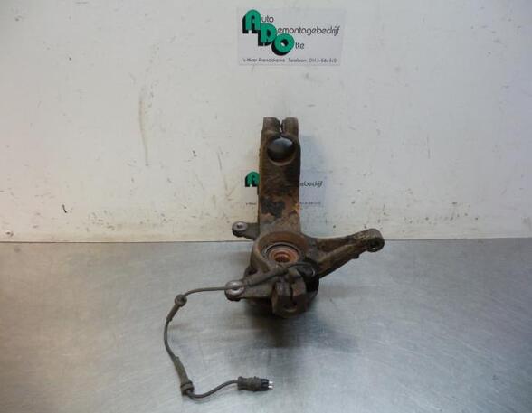 Stub Axle RENAULT MEGANE II (BM0/1_, CM0/1_)