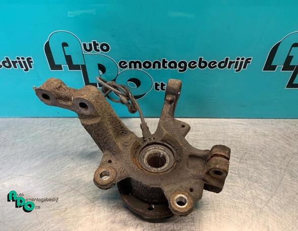 Stub Axle RENAULT CLIO III (BR0/1, CR0/1), DACIA SANDERO, DACIA SANDERO II