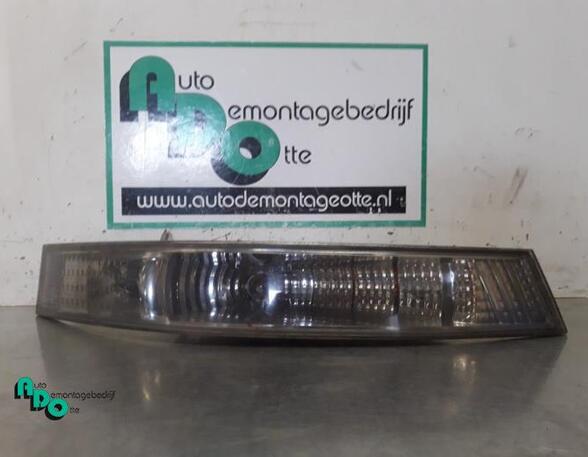 Direction Indicator Lamp NISSAN INTERSTAR Van (X70)