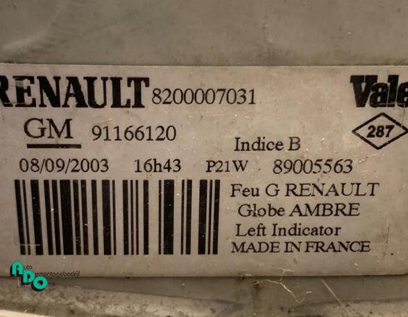 Direction Indicator Lamp RENAULT TRAFIC II Van (FL)