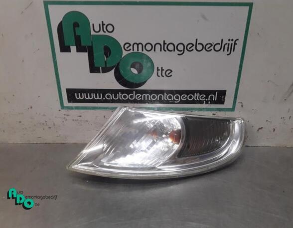 Direction Indicator Lamp SAAB 9-5 Estate (YS3E)