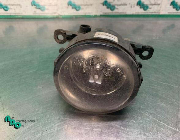 Fog Light RENAULT MEGANE II Estate (KM0/1_), RENAULT MEGANE II (BM0/1_, CM0/1_), RENAULT TWINGO II (CN0_)