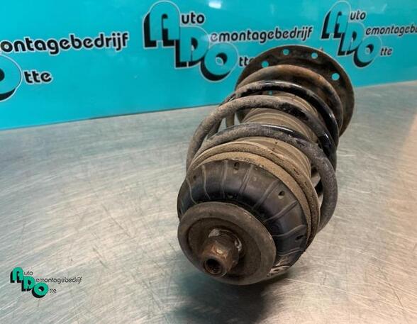 Suspension Strut FIAT GRANDE PUNTO (199_), FIAT PUNTO (199_), FIAT PUNTO EVO (199_)