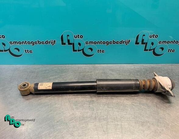 Shock Absorber VW GOLF V (1K1), VW GOLF VI (5K1), VW GOLF VAN VI Variant (AJ5), VW GOLF VI Van (5K1_)