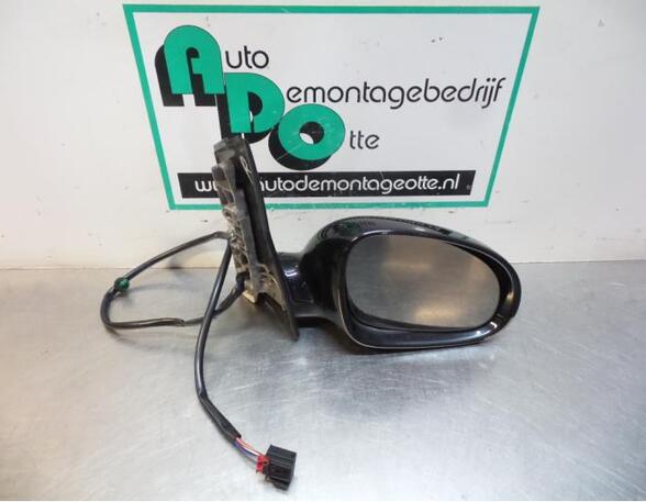 Wing (Door) Mirror VW GOLF PLUS (5M1, 521)