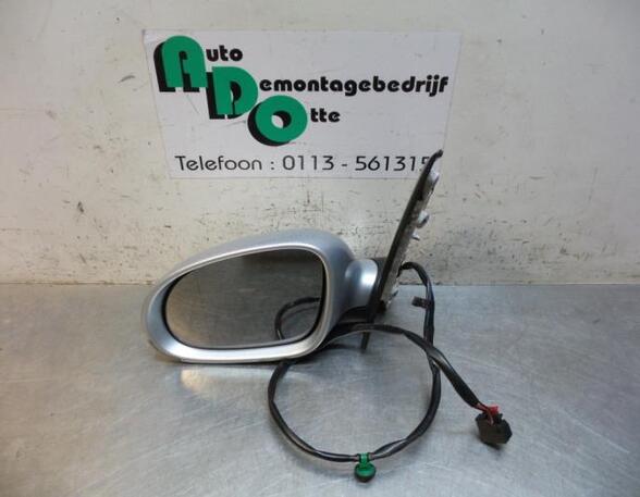 Wing (Door) Mirror VW GOLF PLUS (5M1, 521)