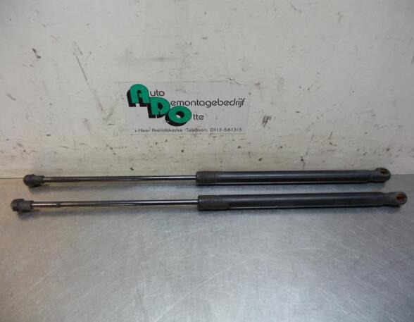 Bootlid (Tailgate) Gas Strut Spring SEAT IBIZA III (6L1)