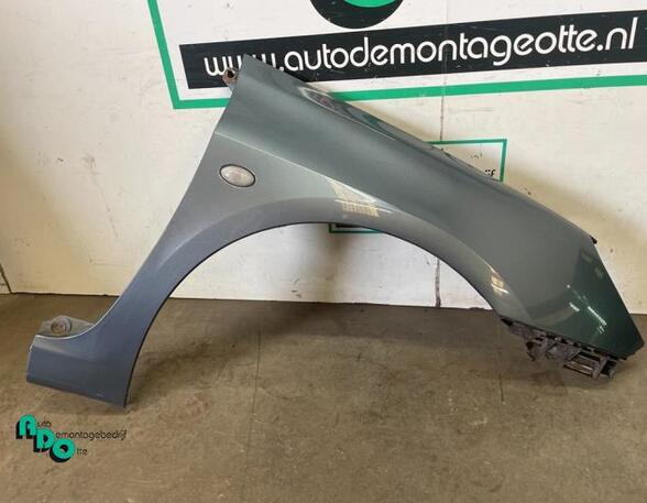 Spatbord PEUGEOT 307 CC (3B)