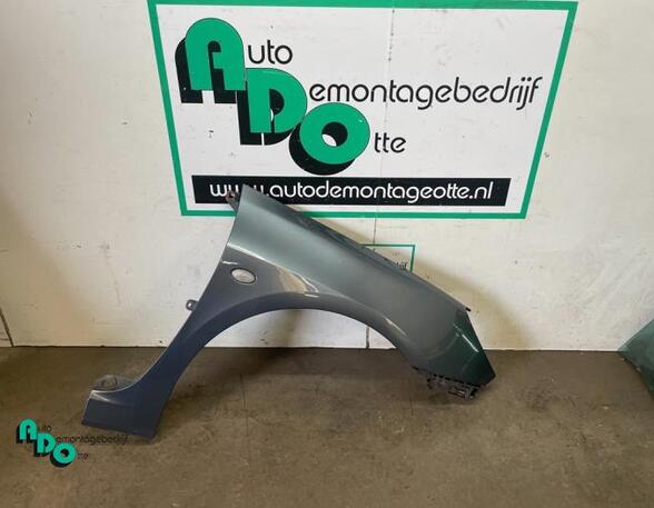 Spatbord PEUGEOT 307 CC (3B)