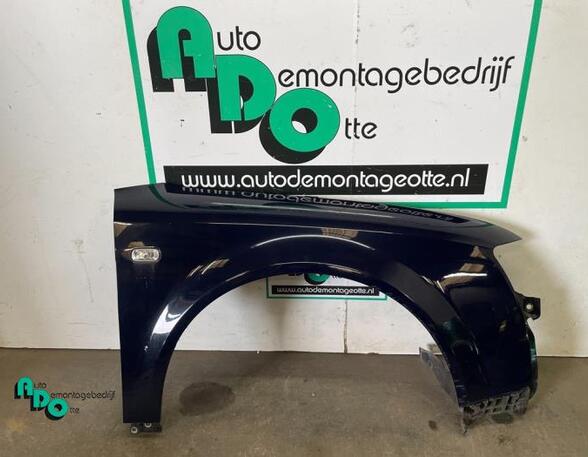 Wing AUDI A4 Avant (8E5, B6), AUDI A4 Avant (8ED, B7)