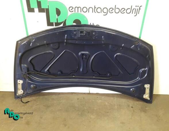 Bonnet RENAULT CLIO III (BR0/1, CR0/1), RENAULT CLIO II (BB_, CB_)