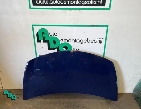 Bonnet RENAULT CLIO III (BR0/1, CR0/1)