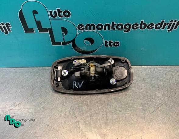 Door Handle FIAT DOBLO Cargo (263_), FIAT DOBLO Platform/Chassis (263_), PEUGEOT BIPPER (AA_)