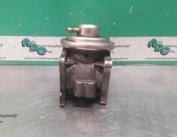 EGR Valve VW TOURAN (1T1, 1T2), VW TOURAN VAN (1T1, 1T2)