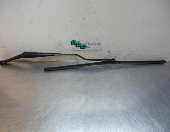 Wiper Arm FIAT GRANDE PUNTO (199_), FIAT PUNTO EVO (199_), FIAT PUNTO (199_)