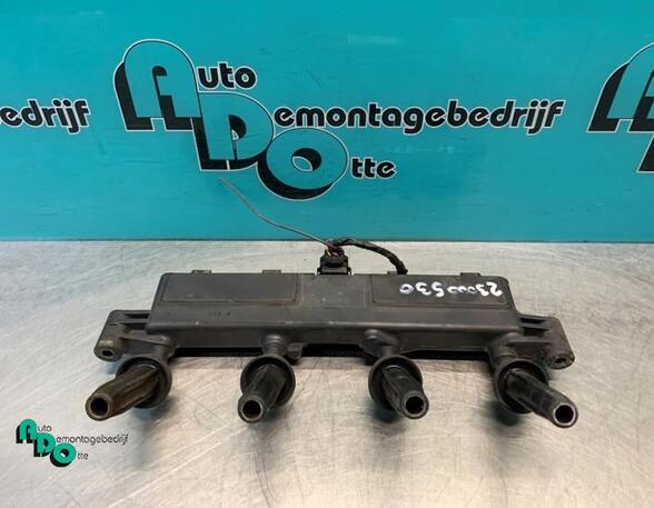 Ignition Coil PEUGEOT 206 Hatchback (2A/C), PEUGEOT 206 Saloon