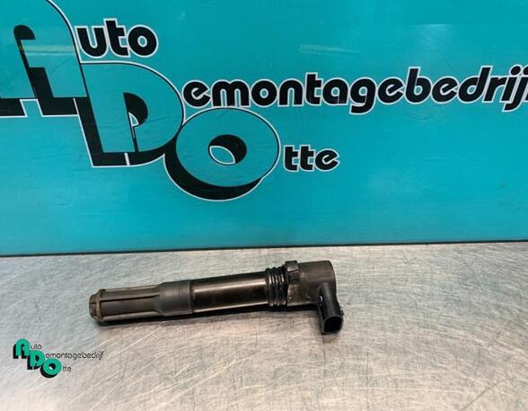 Ignition Coil LANCIA YPSILON (843_), FIAT GRANDE PUNTO (199_), FIAT PUNTO (199_), FIAT PUNTO EVO (199_)