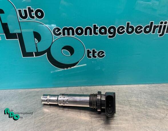 Ignition Coil VW POLO (6R1, 6C1), VW POLO Van (6R), VW POLO (9N_), SEAT IBIZA IV (6J5, 6P1)