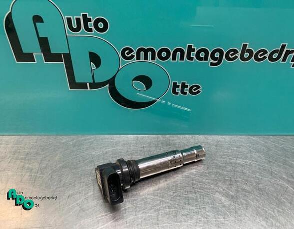 Ignition Coil VW POLO (6R1, 6C1), VW POLO Van (6R), VW POLO (9N_), SEAT IBIZA IV (6J5, 6P1)