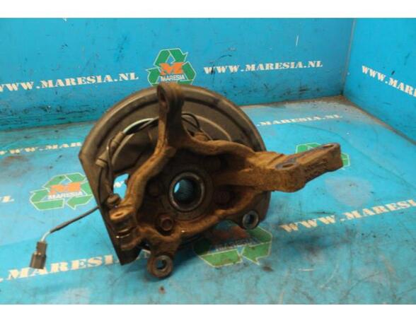 Stub Axle NISSAN JUKE (F15)