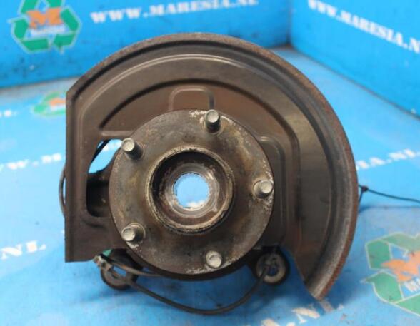 Stub Axle NISSAN JUKE (F15)