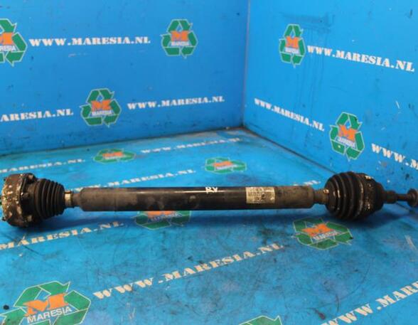 Drive Shaft VW Golf V (1K1)