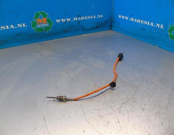 Temperature Sensor FORD PUMA (J2K, CF7)