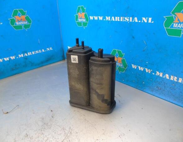 Diesel Particulate Filter (DPF) RENAULT CLIO V (B7_)