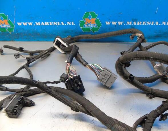 Wiring Harness RENAULT Megane IV Grandtour (K9A/M/N), RENAULT Megane IV Grandtour (K9A/M)