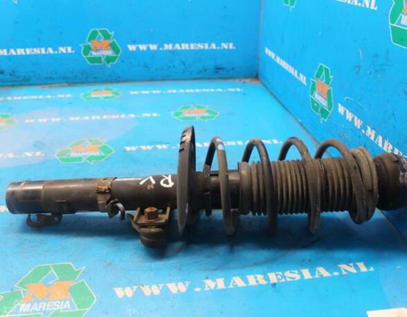 Suspension Strut SKODA FABIA II (542)