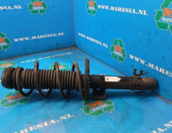 Suspension Strut SEAT Ibiza IV (6J5, 6P1), SEAT Ibiza IV Sportcoupe (6J1, 6P5)