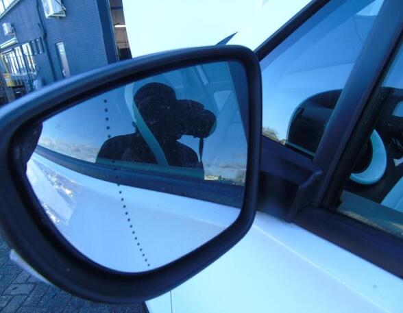 Wing (Door) Mirror RENAULT Zoe (BFM)